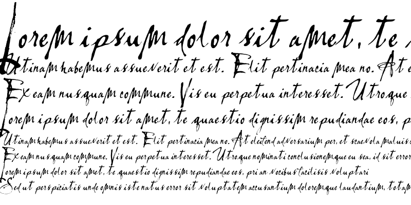 Lassigue D'mato