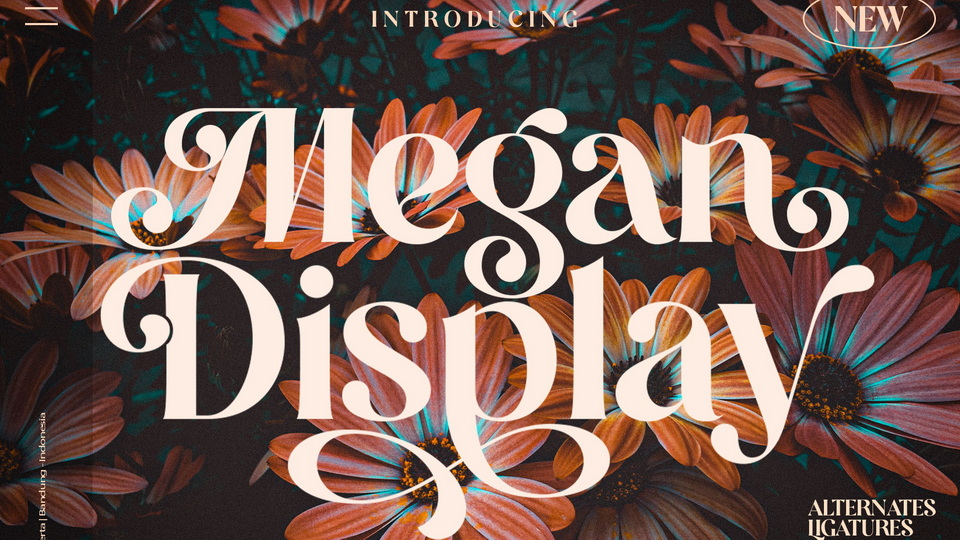 Megan Display