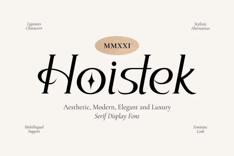 Hoistek