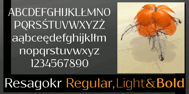 Resagokr