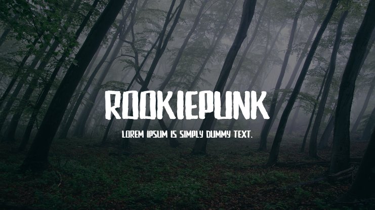 Rookie Punk