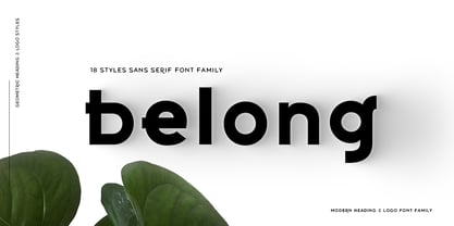 Belong Sans